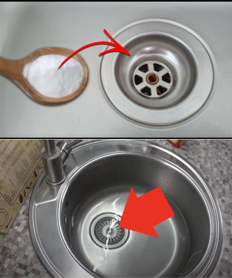 Basta un cucchiaio in ogni lavandino e non si intaserà più. Non proverò nient’altro!