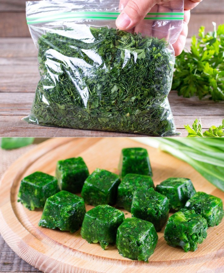 Come conservare le erbe aromatiche per una lunga conservazione