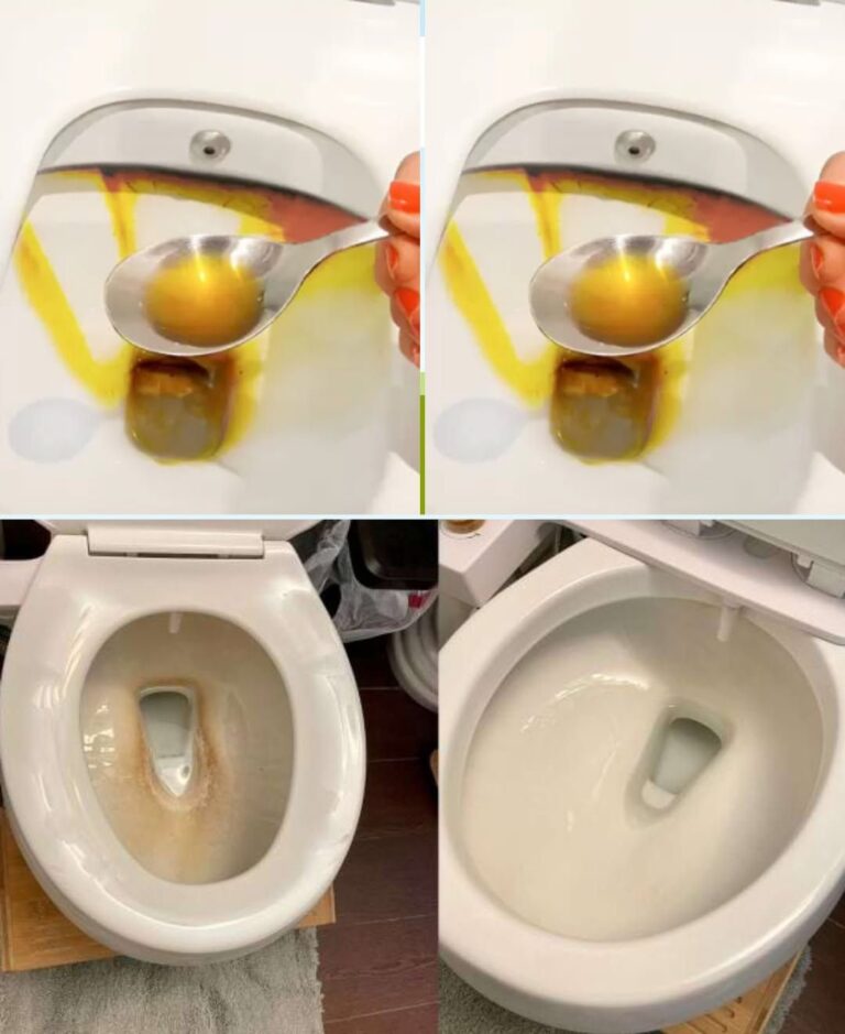 Come Pulire il Water con un Solo Ingrediente