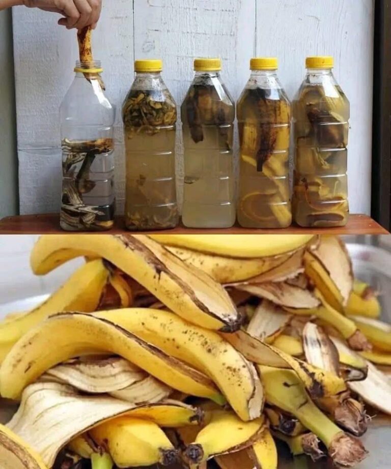 Non buttare via la buccia di banana: scopri 7 modi per usarla in giardino