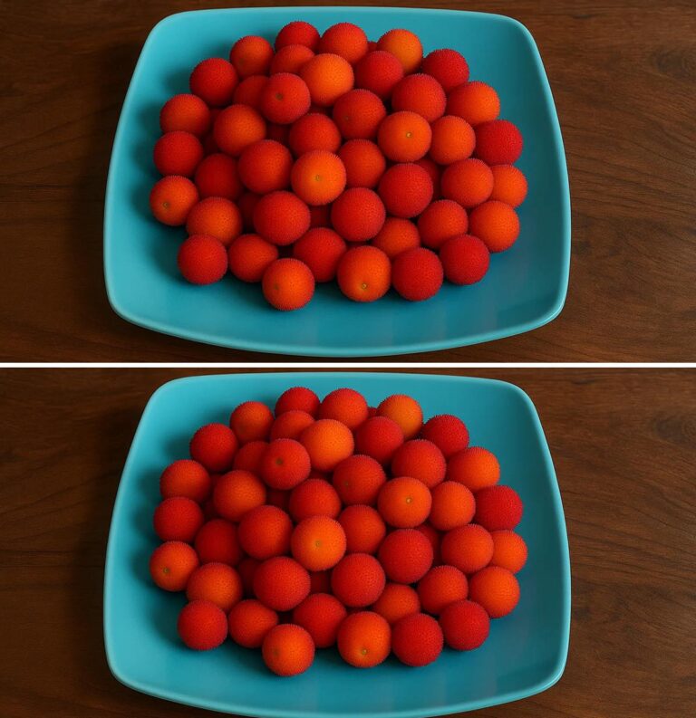 Le meravigliose proprietà del corbezzolo, il frutto dimenticato