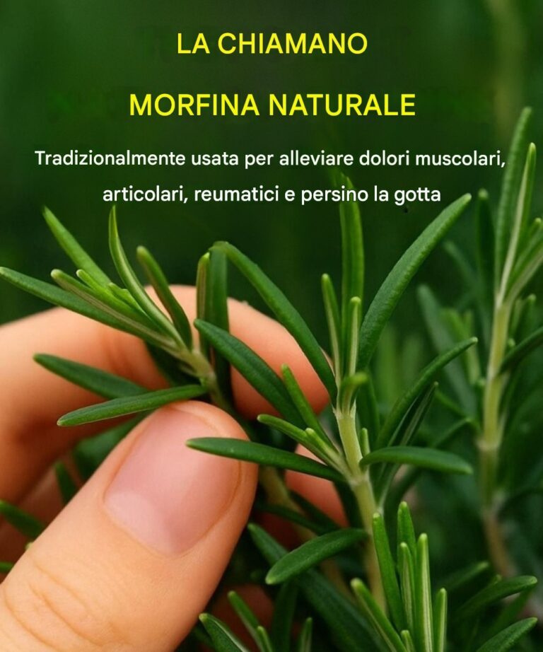 Come coltivare questa pianta in abbondanza in casa.