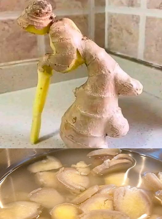 Il potere dello zenzero: l’aspetto di un vecchio, la forza di un antico rimedio