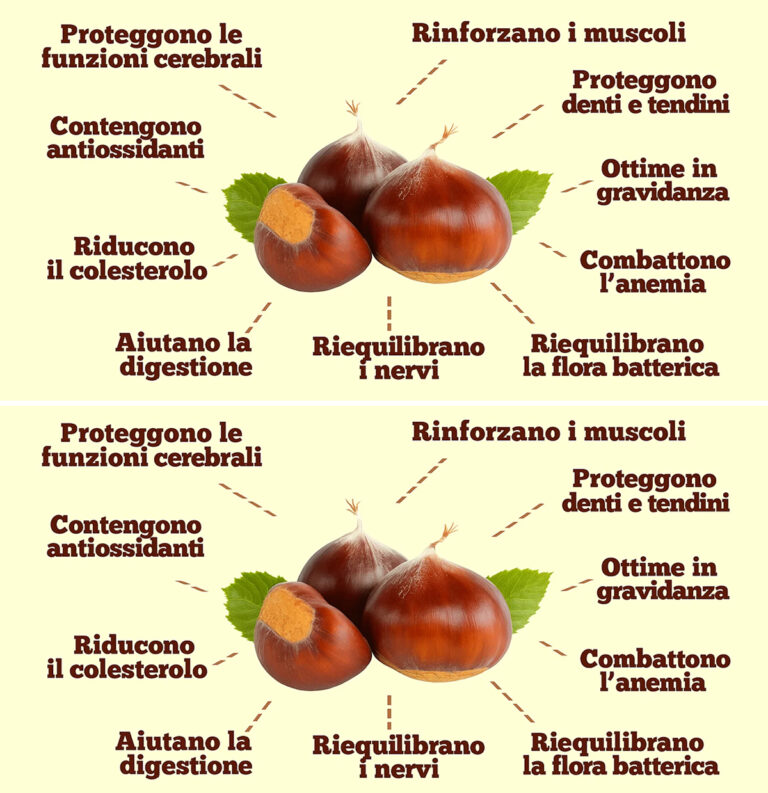 I benefici delle castagne: abbassano il colesterolo, rigenerano i nervi e combattono l’anemia