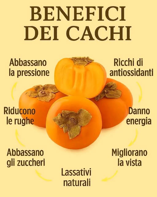 Cachi Kaki Benefici Proprietà e Consigli per Consumare i Frutti Autunnali