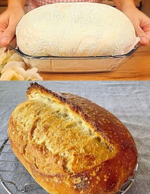 Pane fatto in casa: una ricetta secolare, così non comprerai mai più il pane!