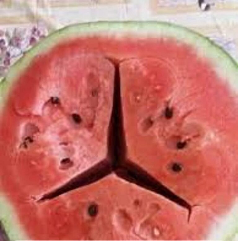 I medici rivelano che mangiare anguria provoca…