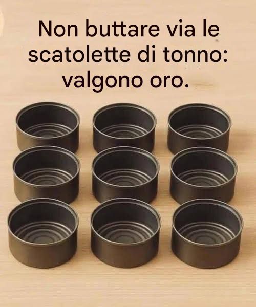 Non buttare via le scatolette di tonno, a casa valgono il loro peso in oro: come riutilizzarle