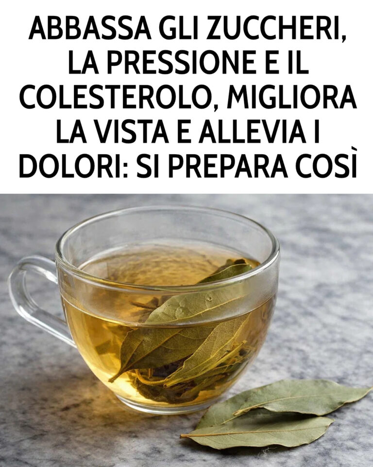 Come preparare il decotto di alloro che migliora la vista, abbassa la pressione e allevia i dolori