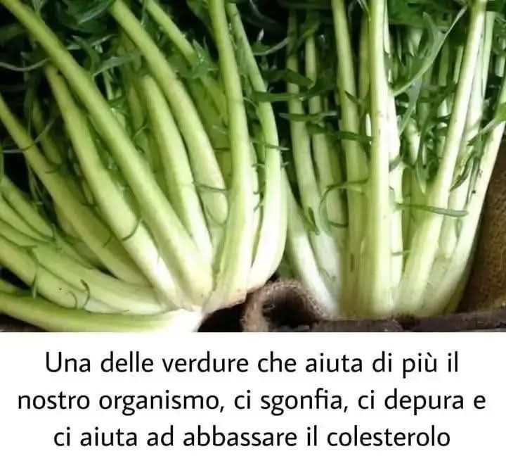 Cicoria la Verdura che Depura e Rinforza il Nostro Organismo