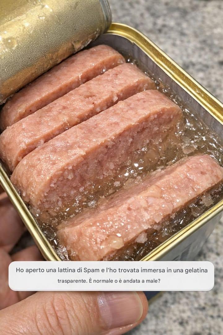 Ho aperto una lattina di Spam e l'ho trovata immersa in una gelatina trasparente. È normale o è andata a male?
