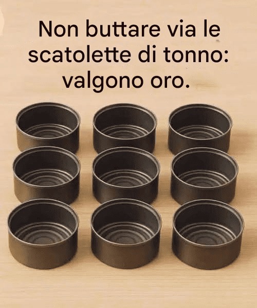 Non buttare via le scatolette di tonno, a casa valgono il loro peso in oro: come riutilizzarle