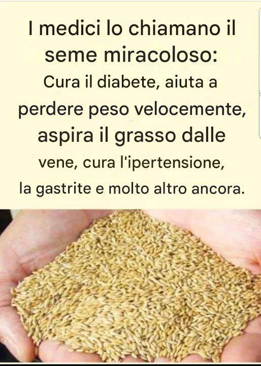 Acqua di semi di scagliola