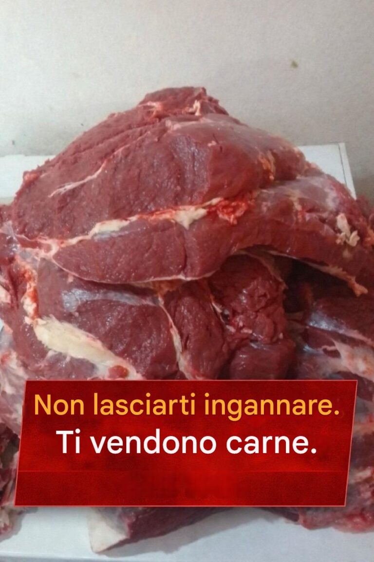 Come il CRM basato su cloud sarà fondamentale per la produttività aziendale nel 2025