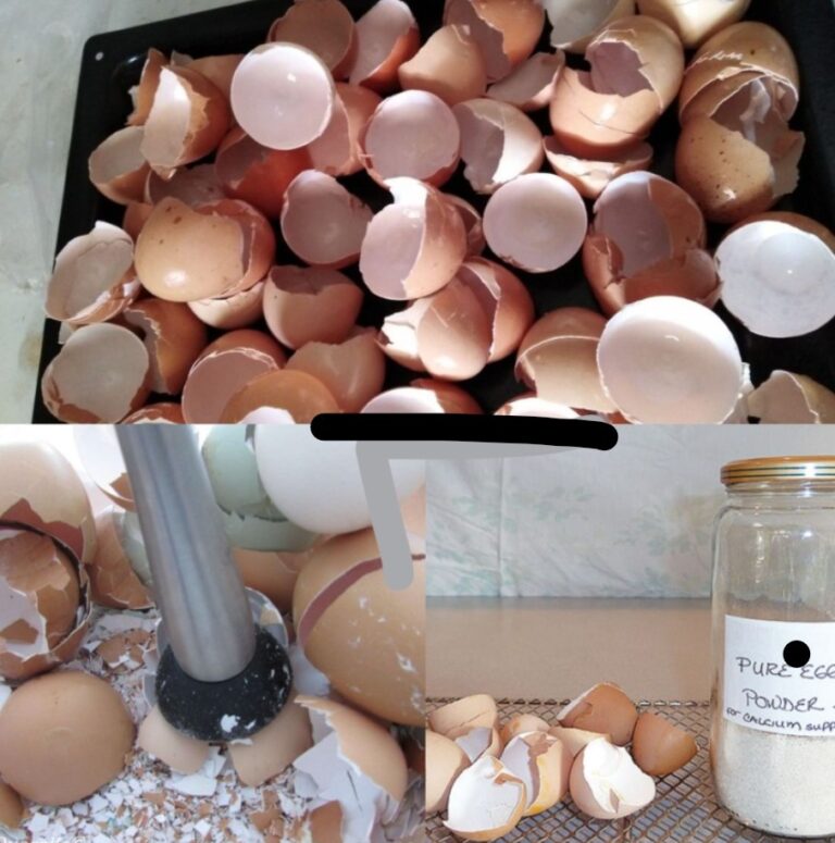 Prima di provarci, mia madre NON POTEVA camminare a causa del dolore alle ginocchia e alle ossa!