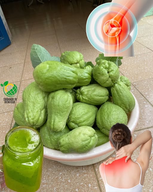 🌿 Scopri Chayote: la semplice zucca che trasforma naturalmente la tua salute