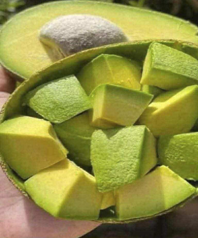 Avocado: il frutto ricco di nutrienti raccomandato dai dottori