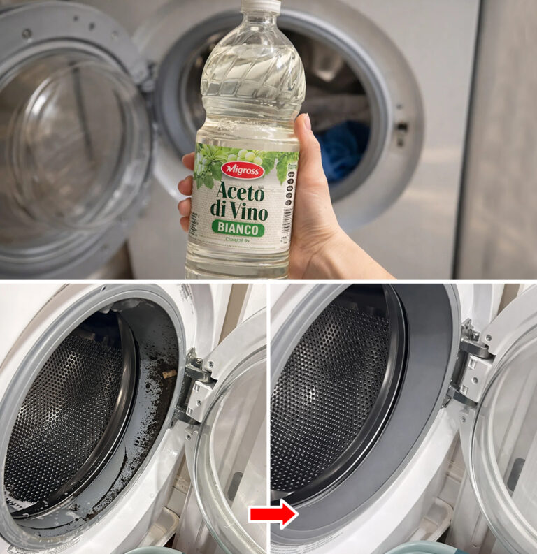 Come pulire la lavatrice a fondo per evitare che lasci pelucchi sui vestiti: 3 trucchi infallibili