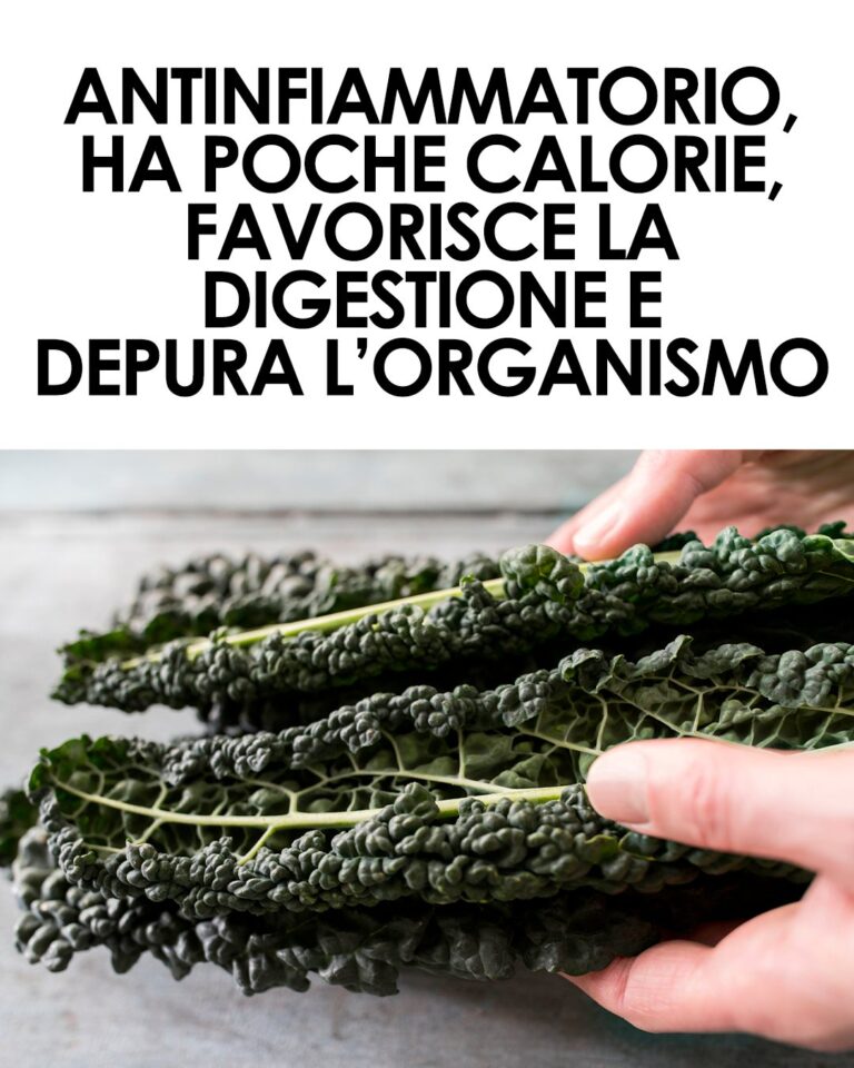 Cavolo nero, il re della cucina toscana
